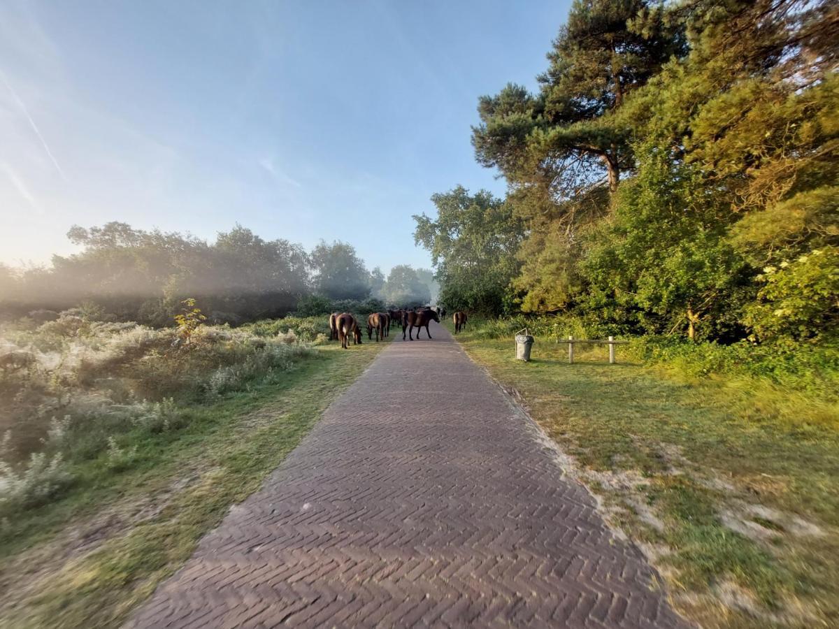 Zomerhuis Simoons Egmond aan Zee Dış mekan fotoğraf